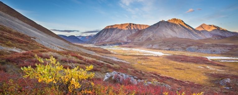 Allianz - Arctic National Wildlife Refuge