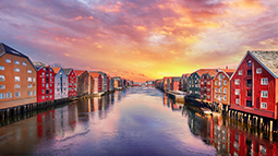 travel insurance and job loss