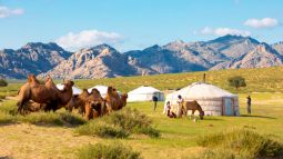 traditional mongolian ger