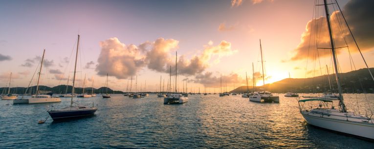 Allianz - catamarans