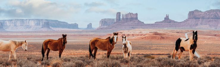 ONE-TRIP PLANS
