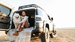 Traveling with Pets